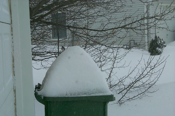 Close to two feet of snow resting on top of the garbage can