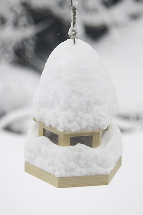 [ Bird feeder covered with snow ]