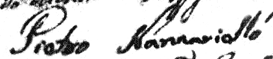 [ signature of Pietro Nannariello ]