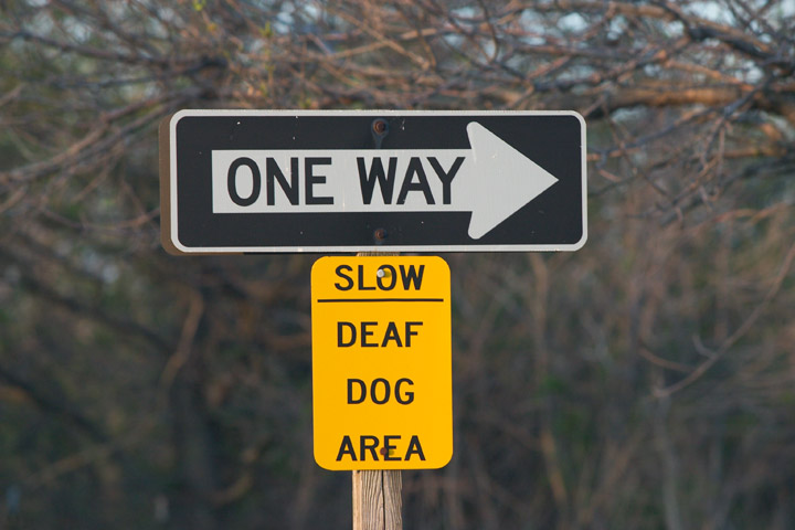 One Way sign, and a sign saying Slow Deaf Dog Area below it